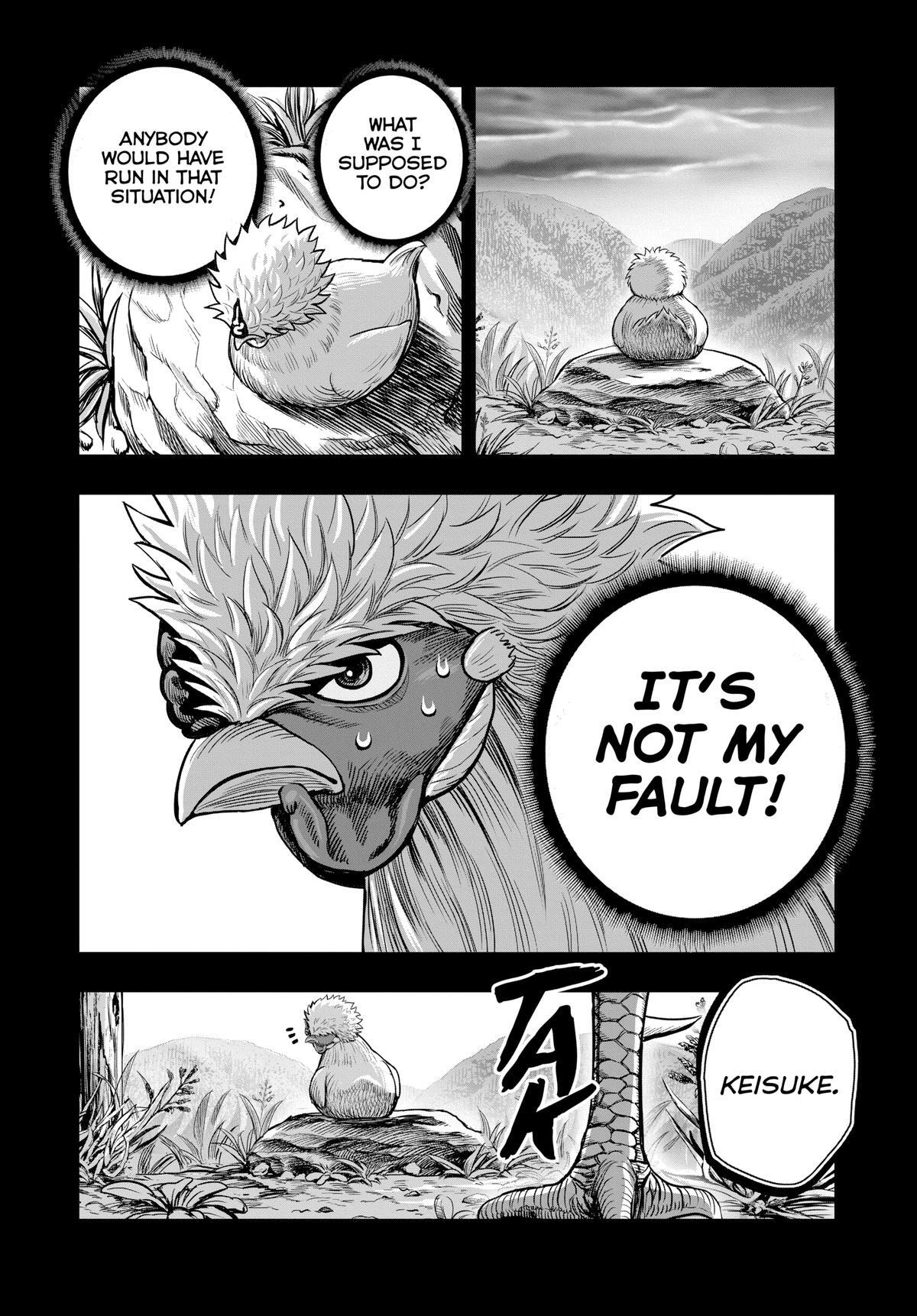 Read Rooster Fighter Manga Online