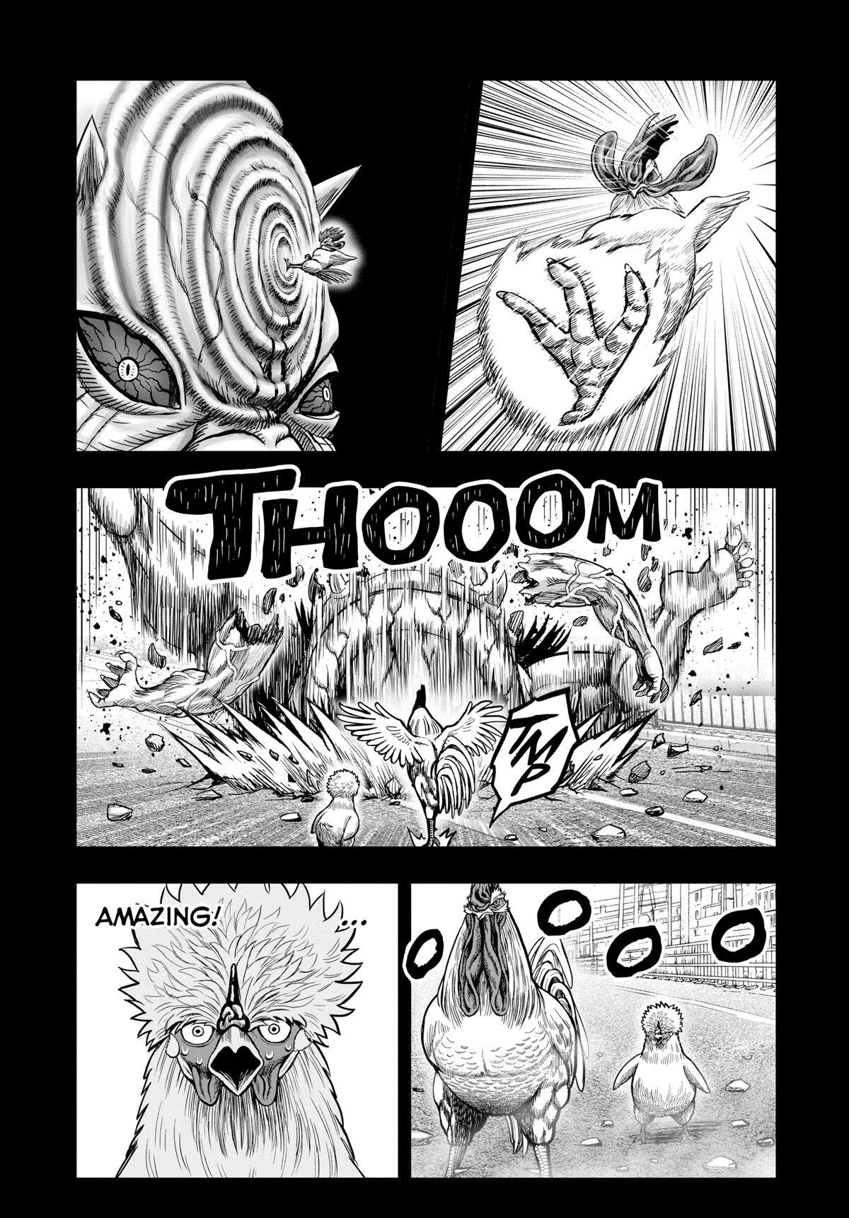 Read Rooster Fighter Manga Online