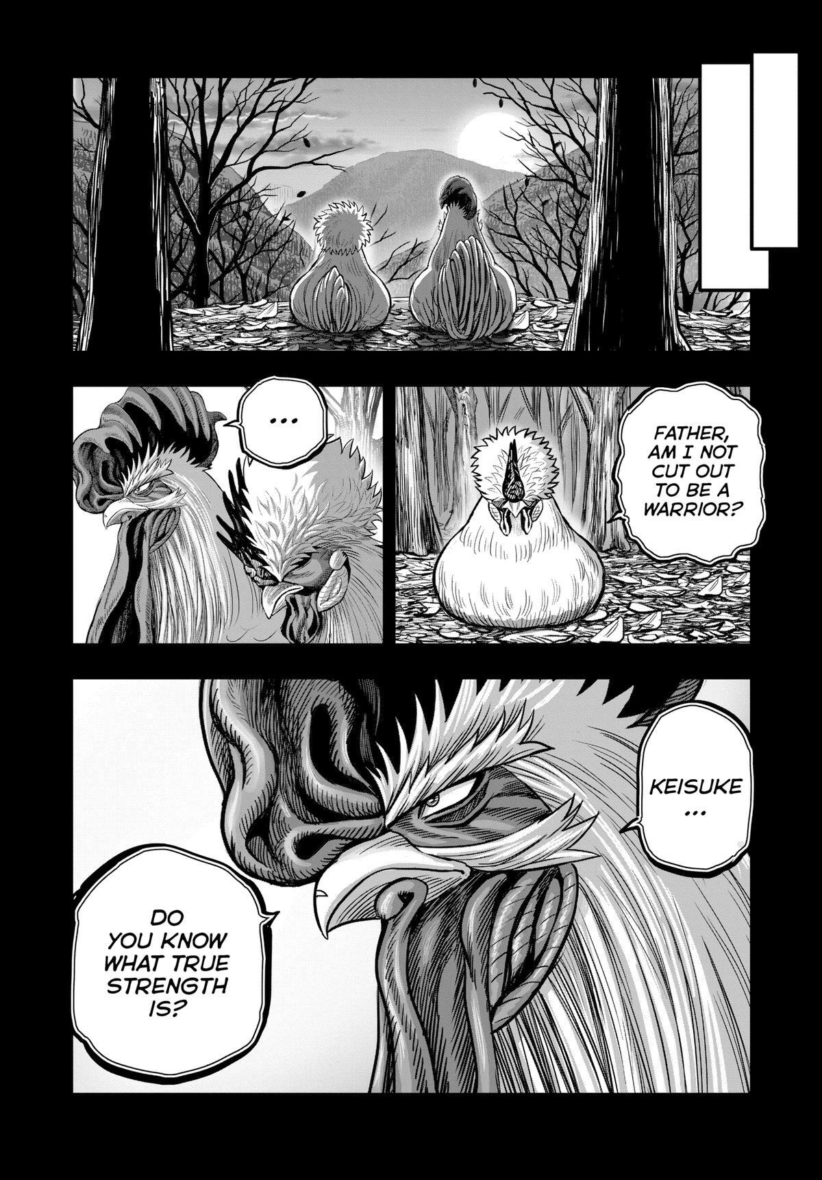 Read Rooster Fighter Manga Online
