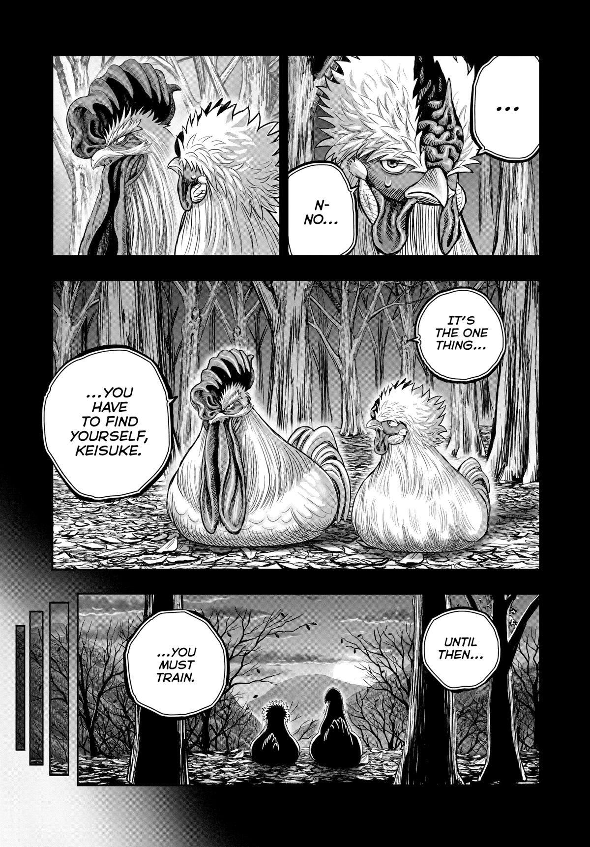 Read Rooster Fighter Manga Online