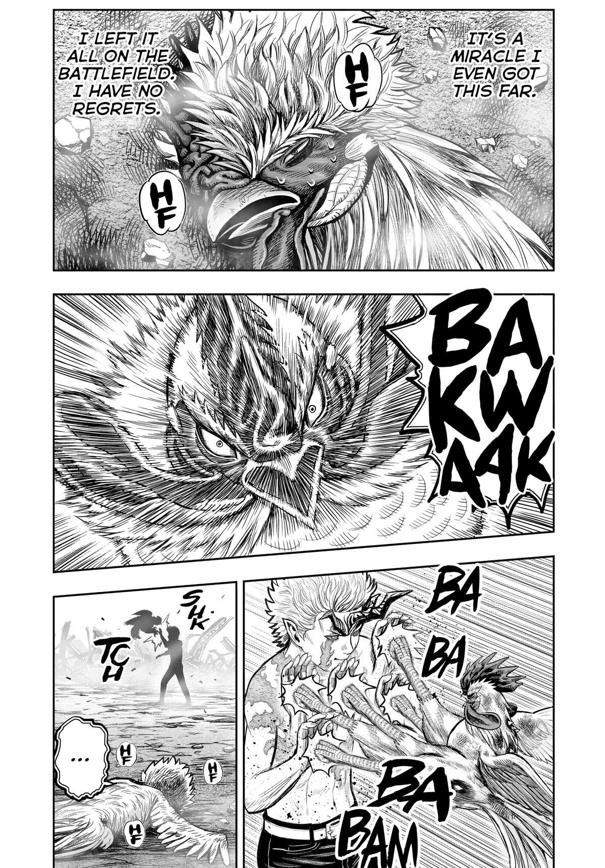 Read Rooster Fighter Manga Online