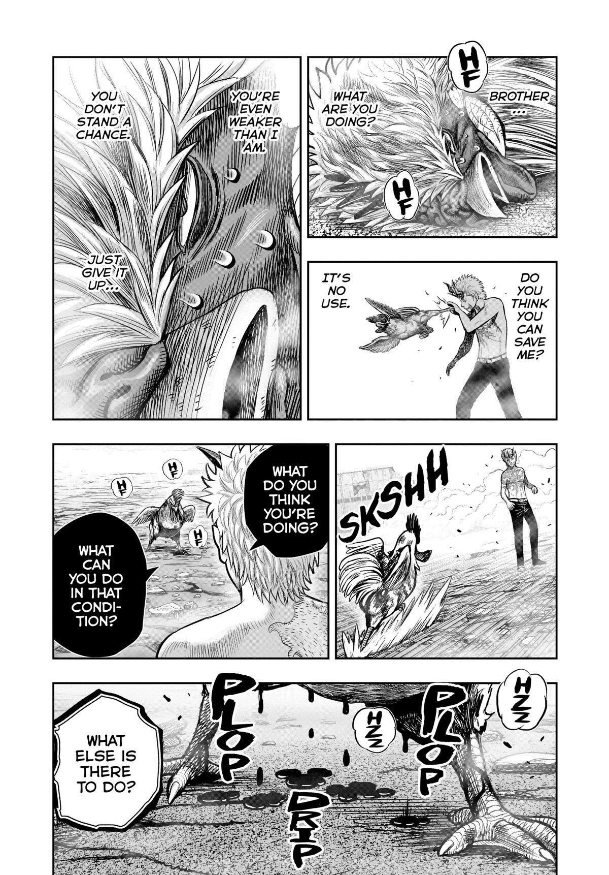 Read Rooster Fighter Manga Online
