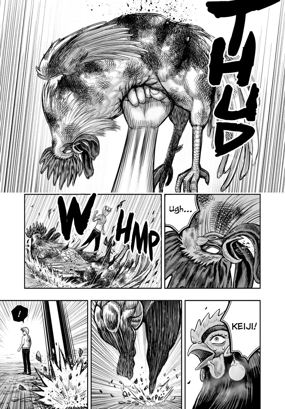 Read Rooster Fighter Manga Online