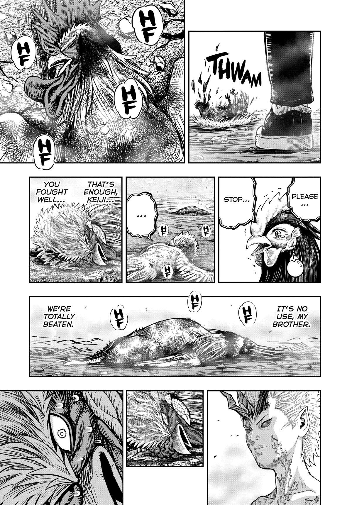 Read Rooster Fighter Manga Online