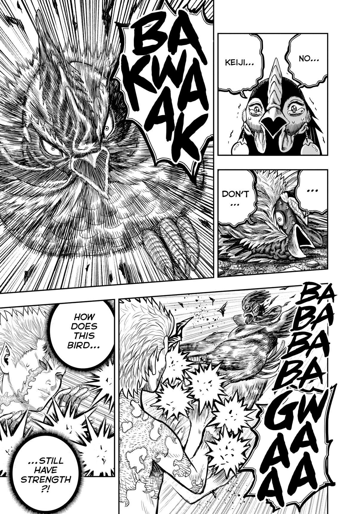 Read Rooster Fighter Manga Online