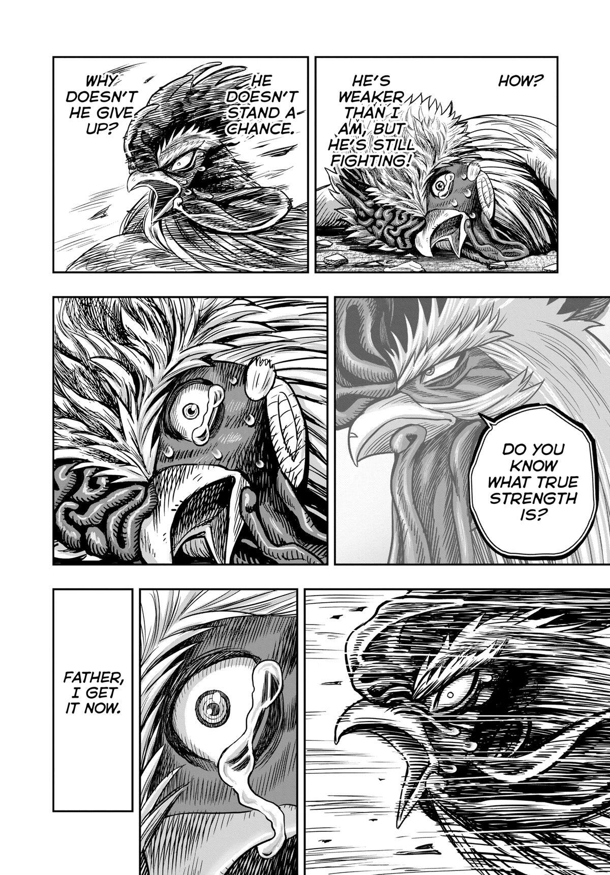 Read Rooster Fighter Manga Online