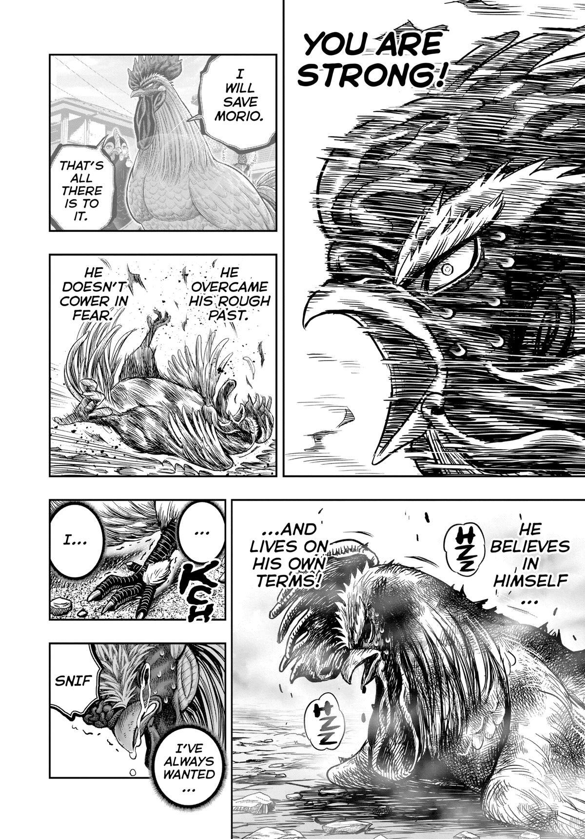 Read Rooster Fighter Manga Online