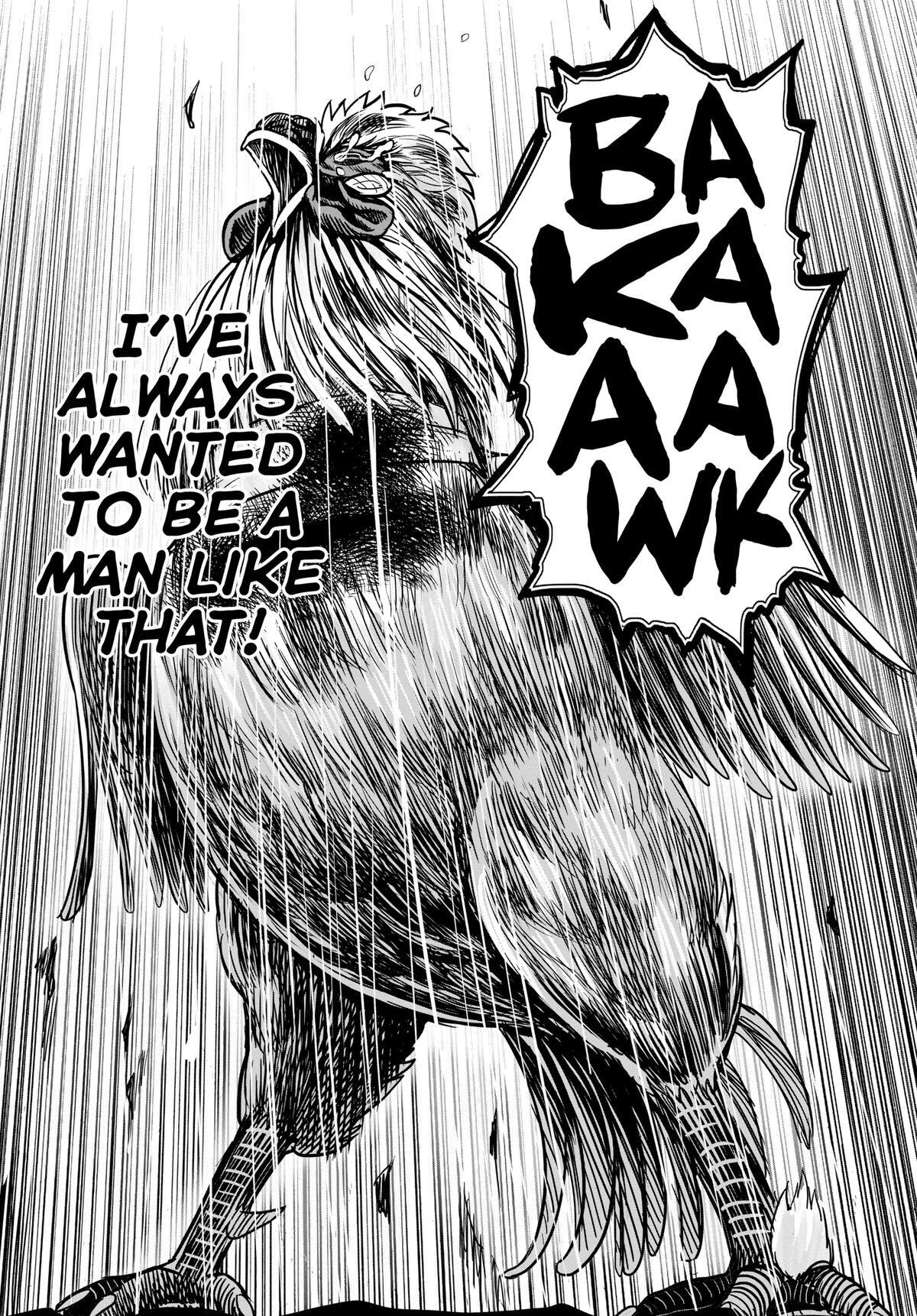 Read Rooster Fighter Manga Online