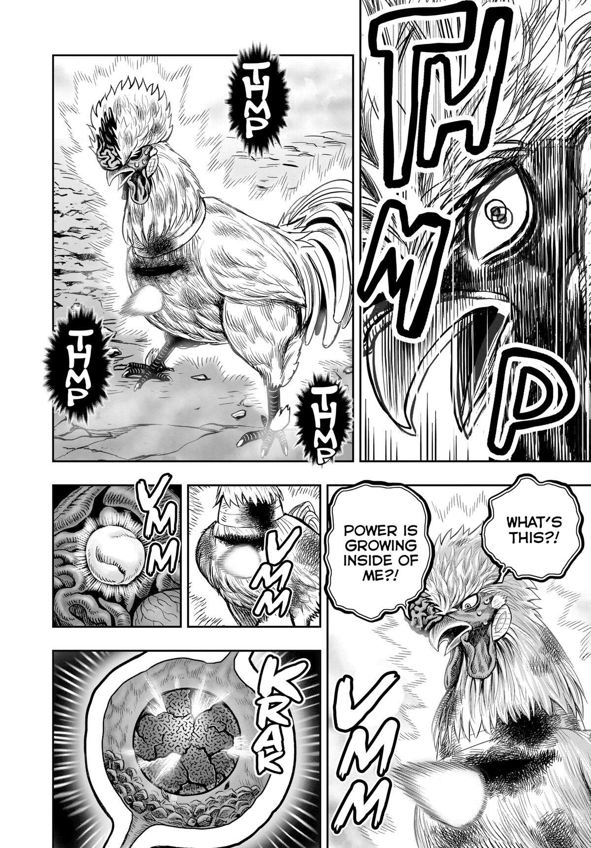 Read Rooster Fighter Manga Online