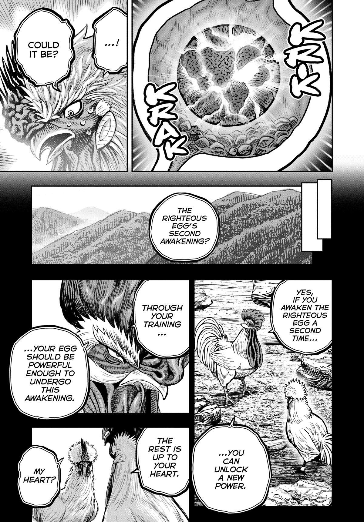 Read Rooster Fighter Manga Online