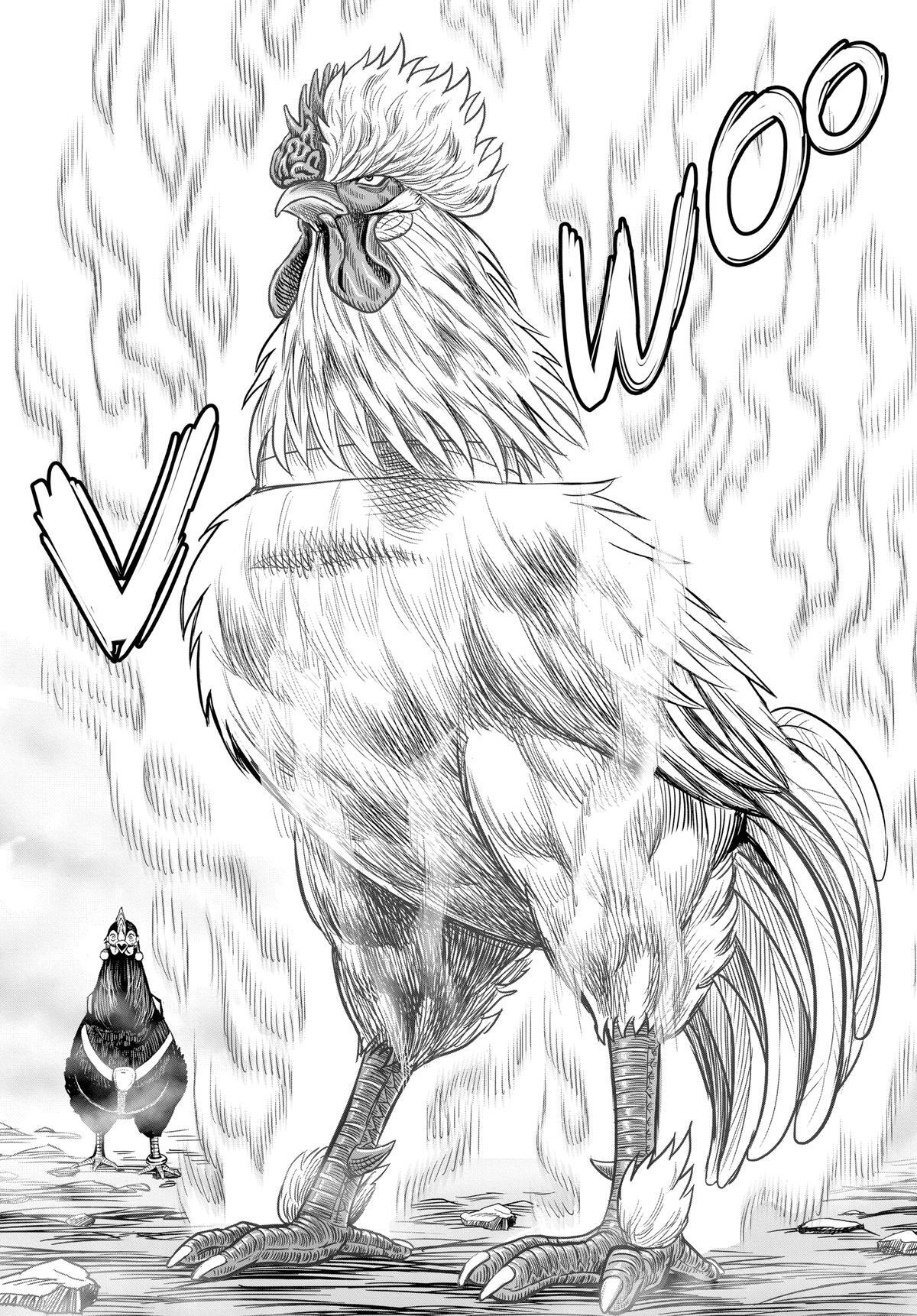Read Rooster Fighter Manga Online