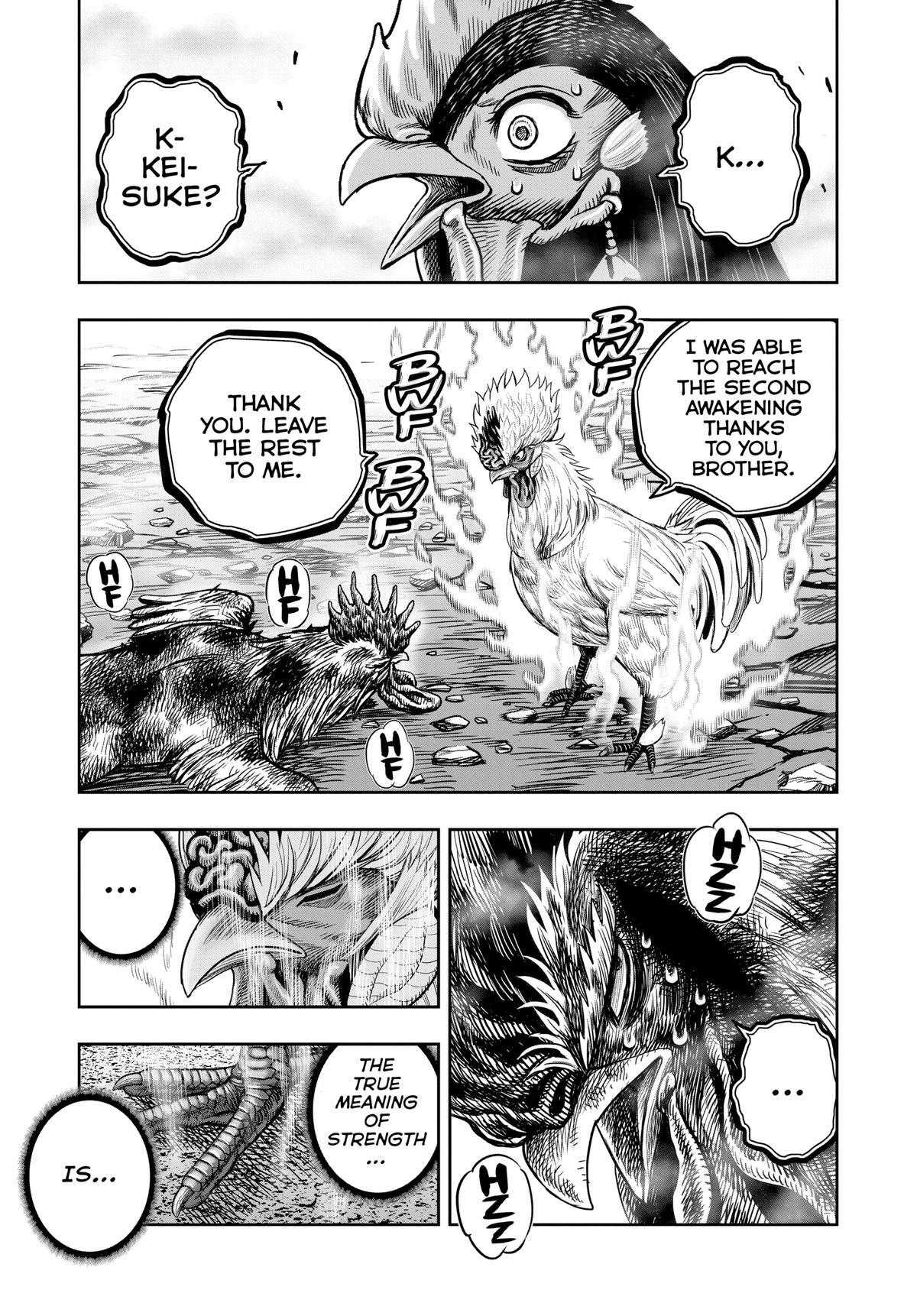 Read Rooster Fighter Manga Online