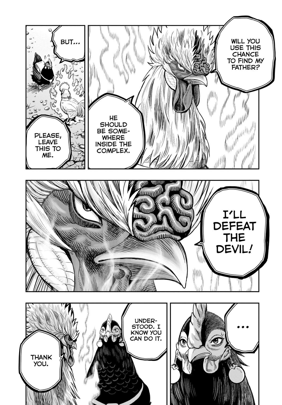 Read Rooster Fighter Manga Online