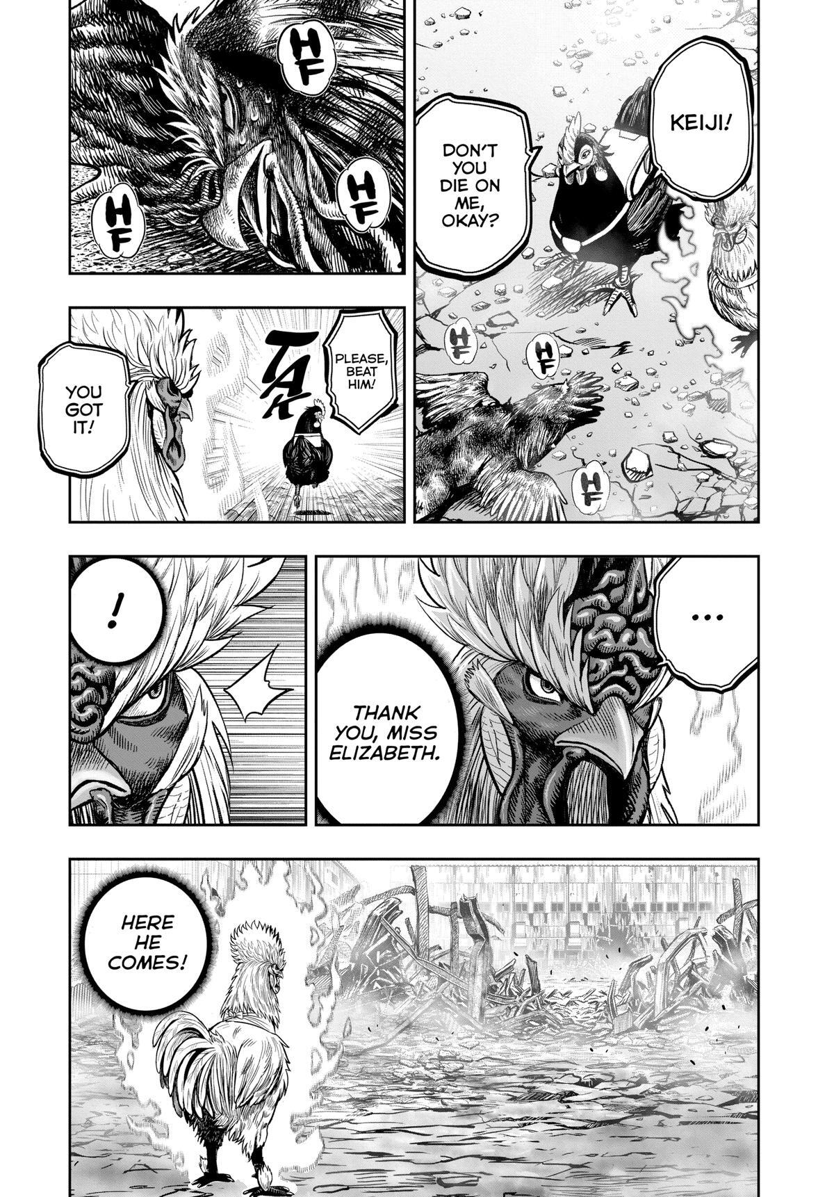 Read Rooster Fighter Manga Online