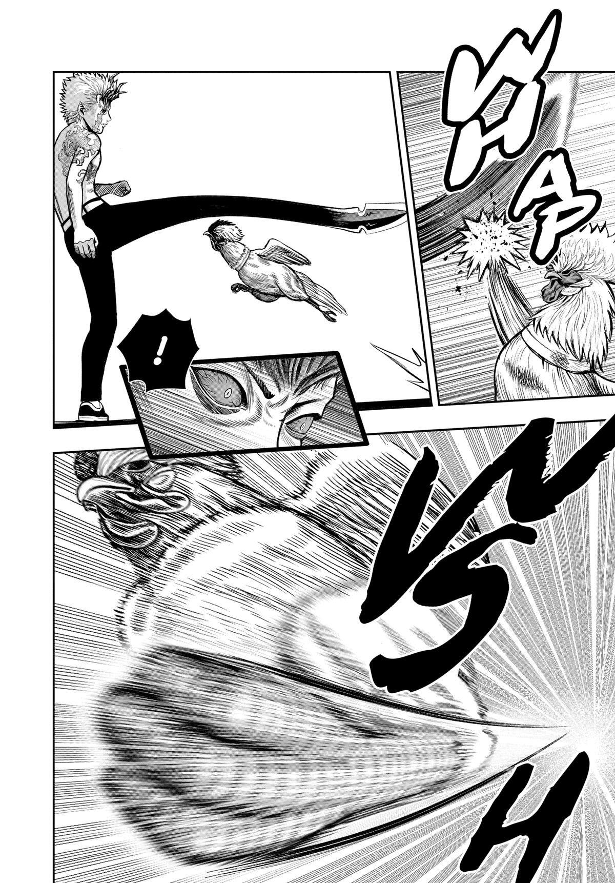 Read Rooster Fighter Manga Online