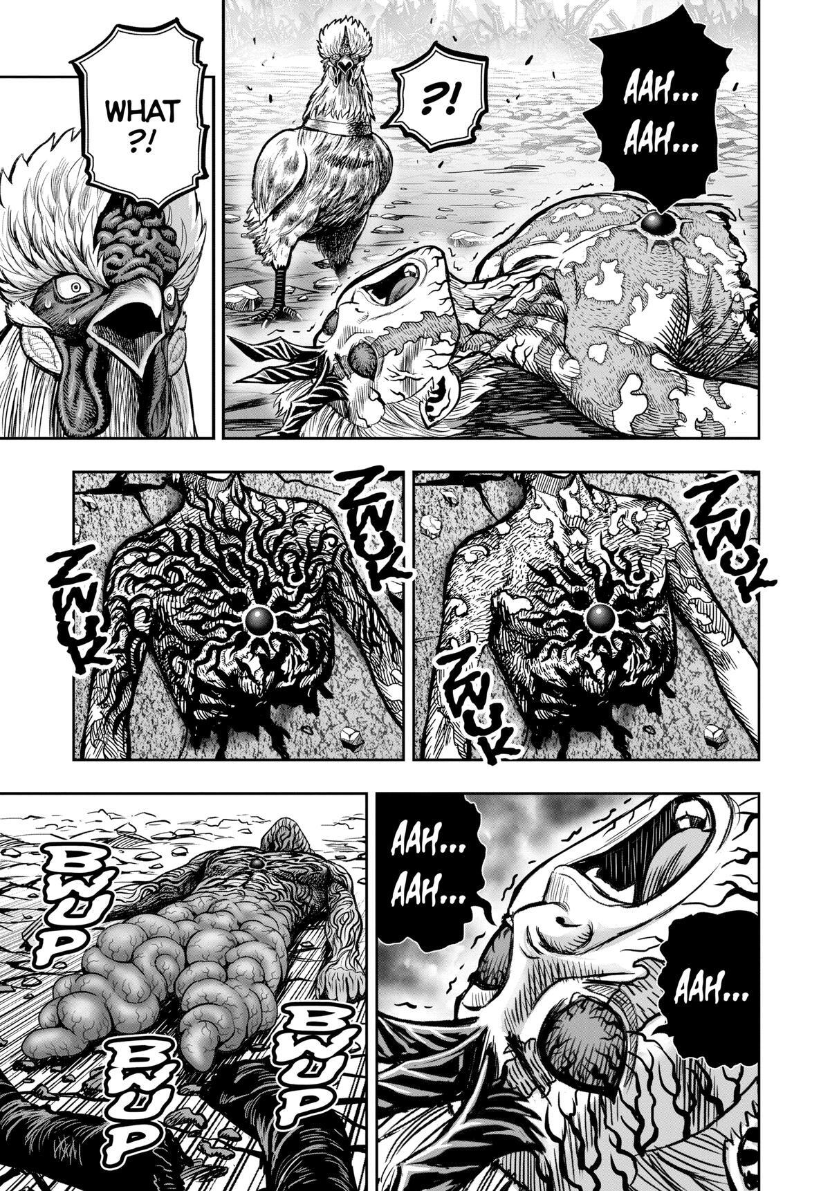 Read Rooster Fighter Manga Online