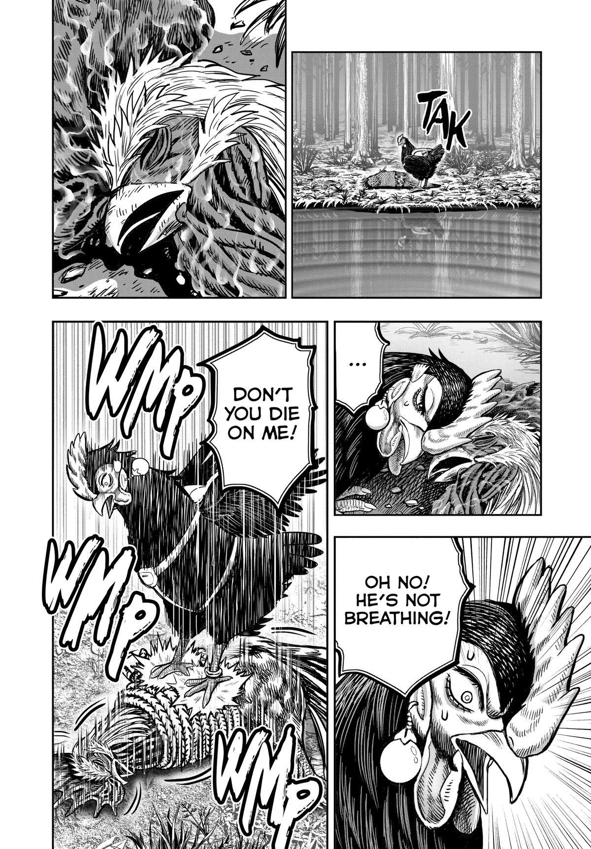 Read Rooster Fighter Manga Online
