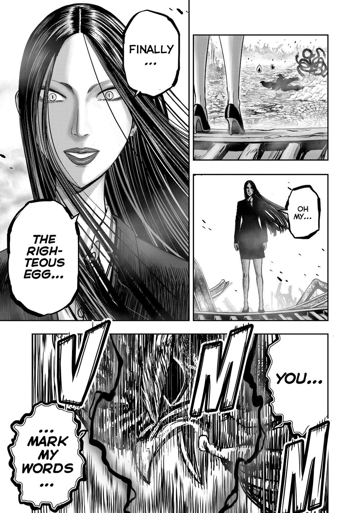 Read Rooster Fighter Manga Online