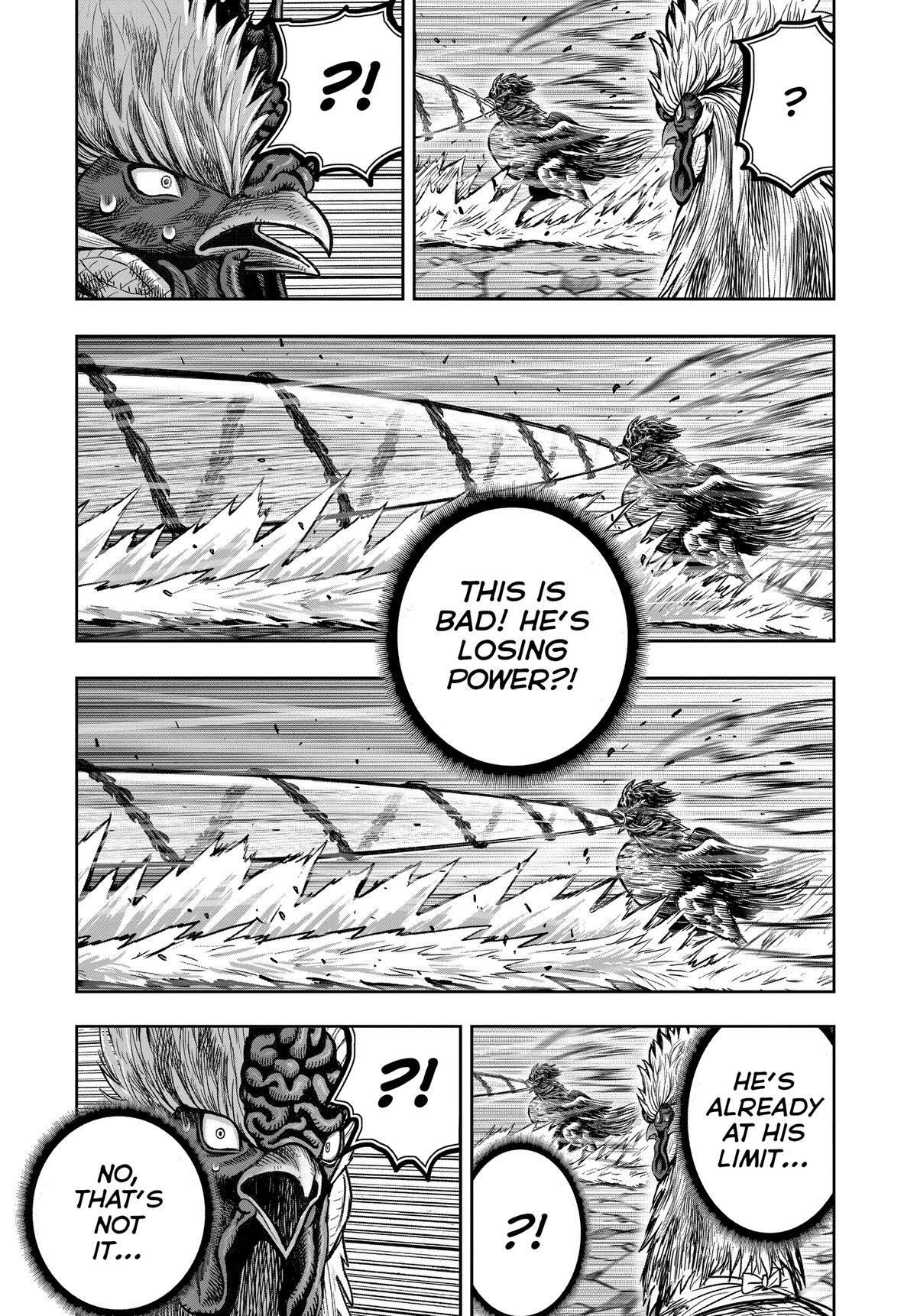 Read Rooster Fighter Manga Online