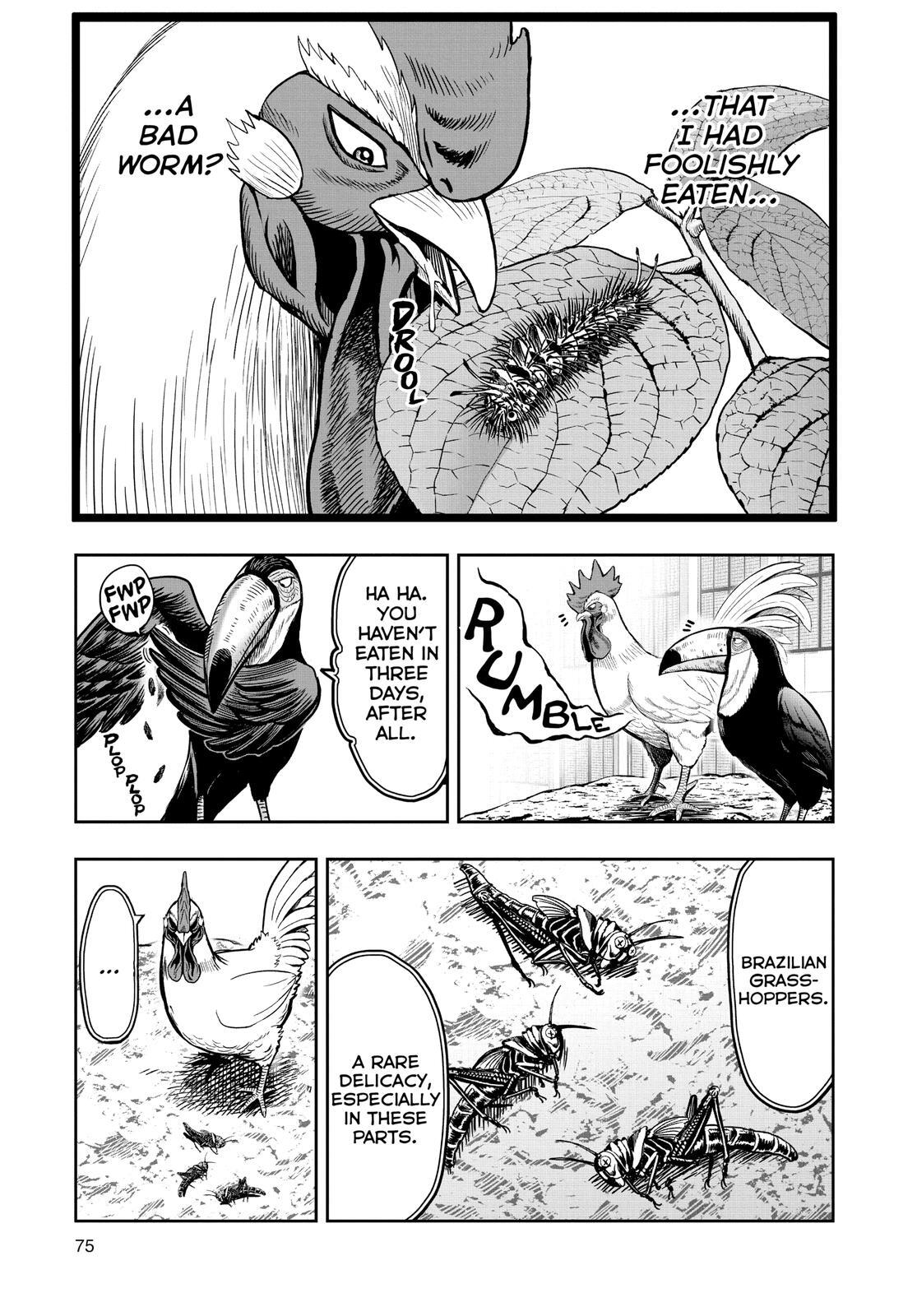 Read Rooster Fighter Manga Online