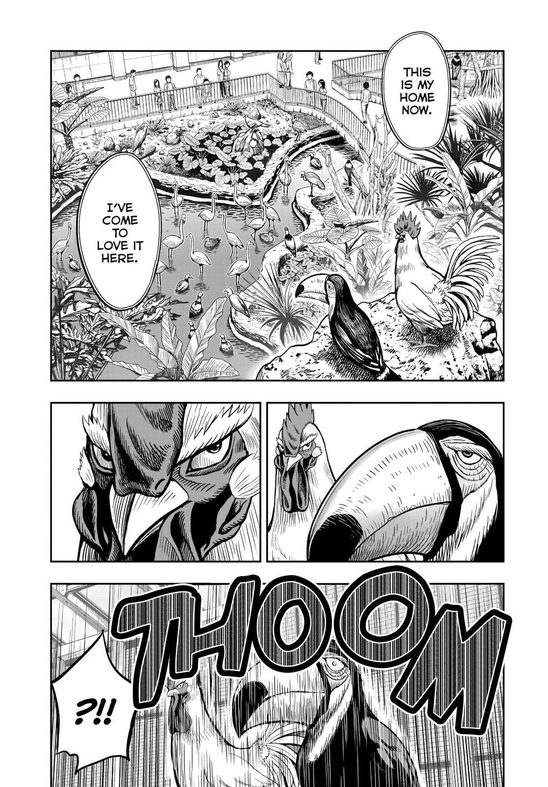 Read Rooster Fighter Manga Online