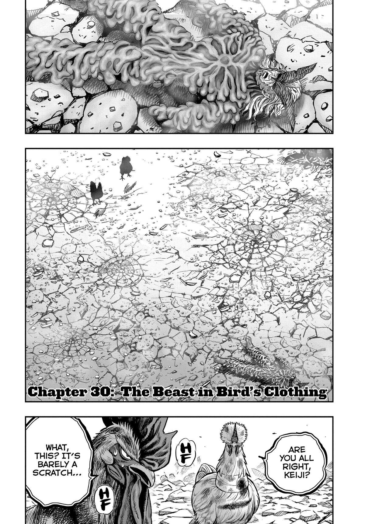 Read Rooster Fighter Manga Online