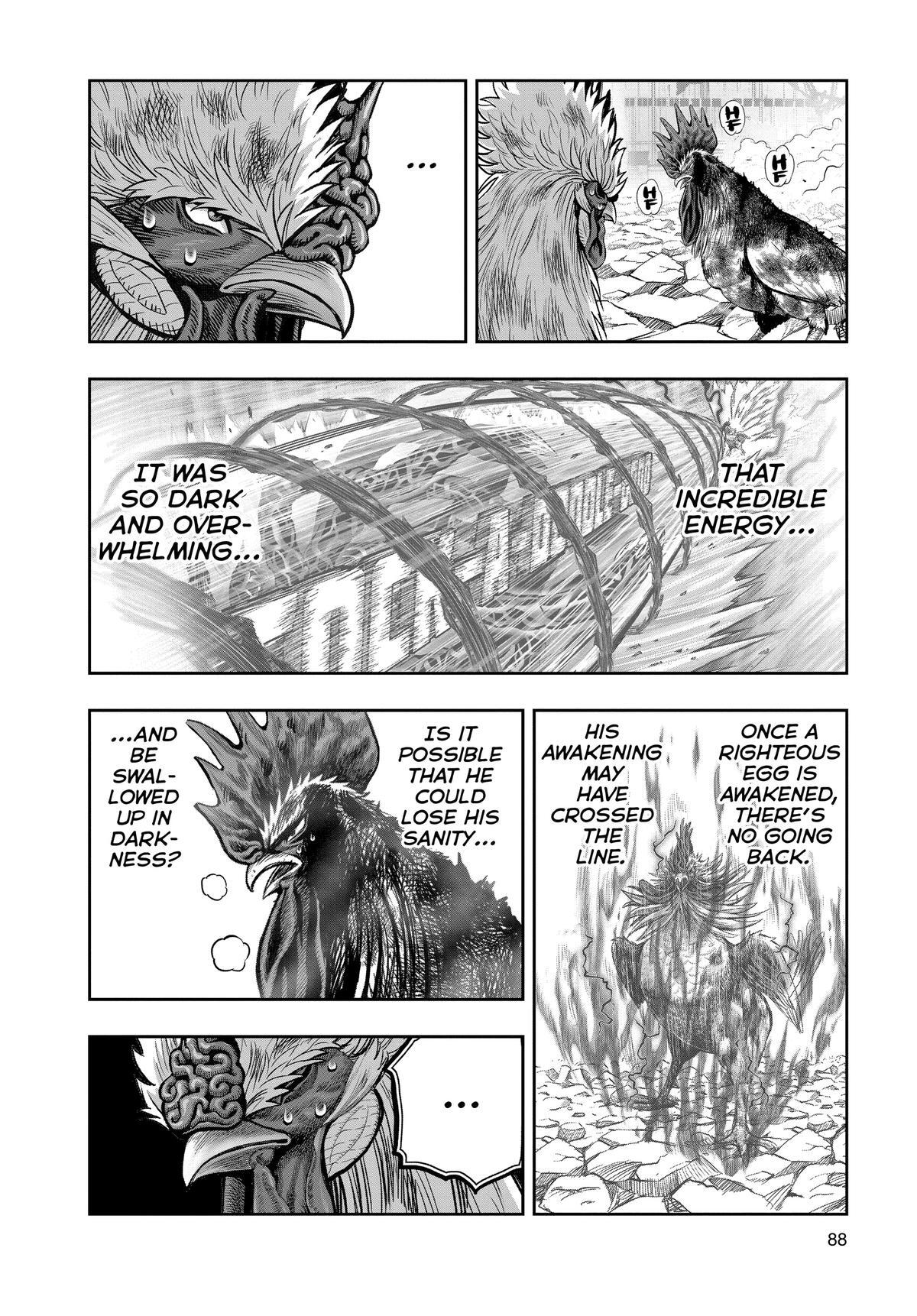 Read Rooster Fighter Manga Online