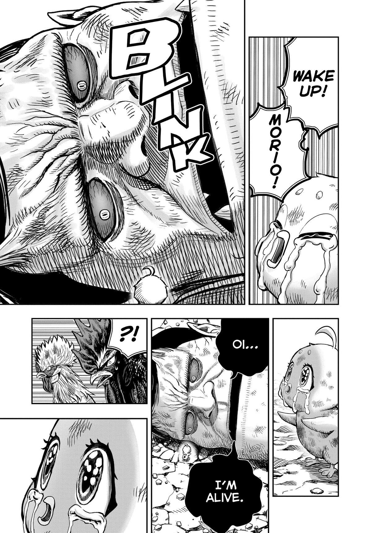 Read Rooster Fighter Manga Online