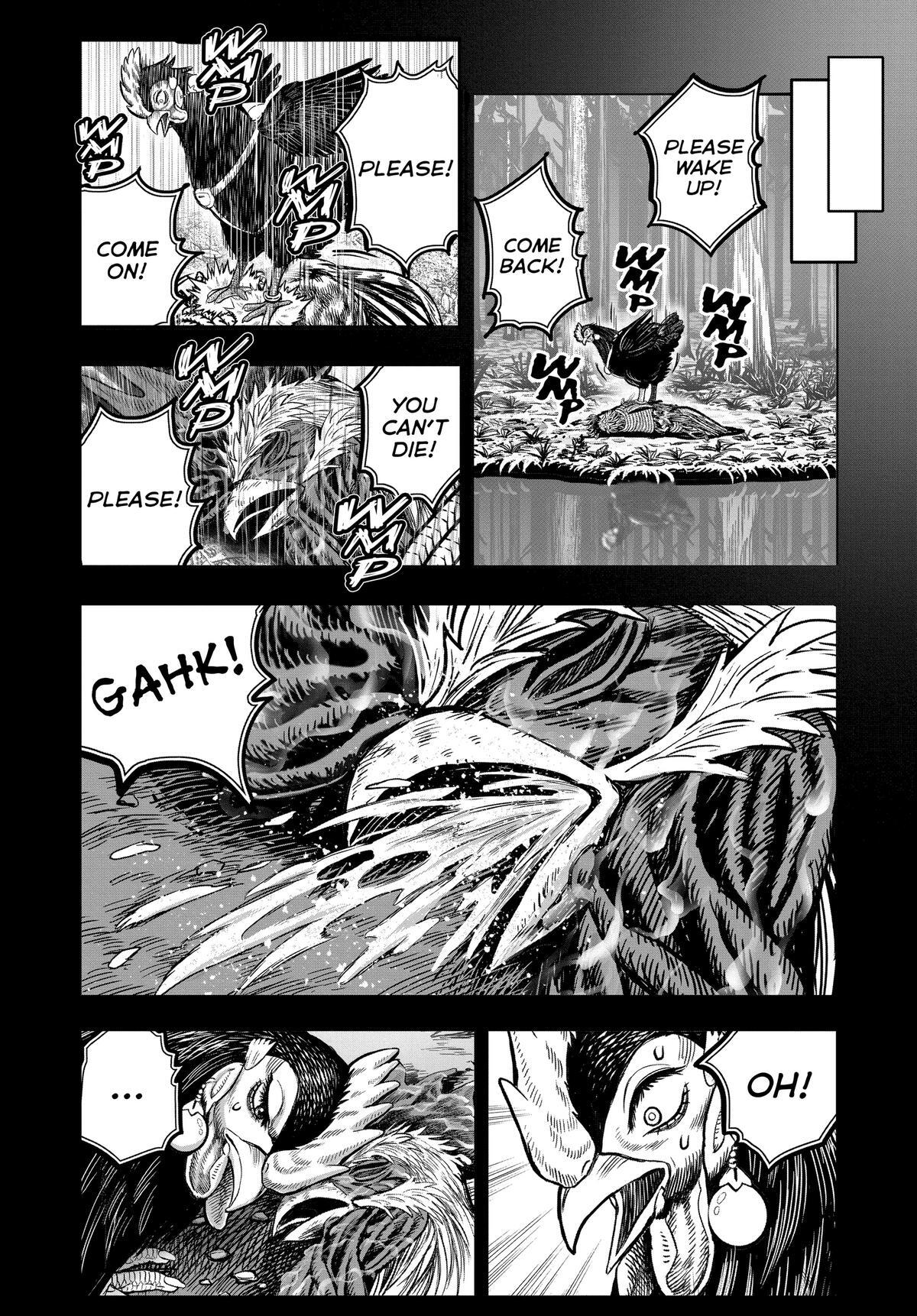 Read Rooster Fighter Manga Online