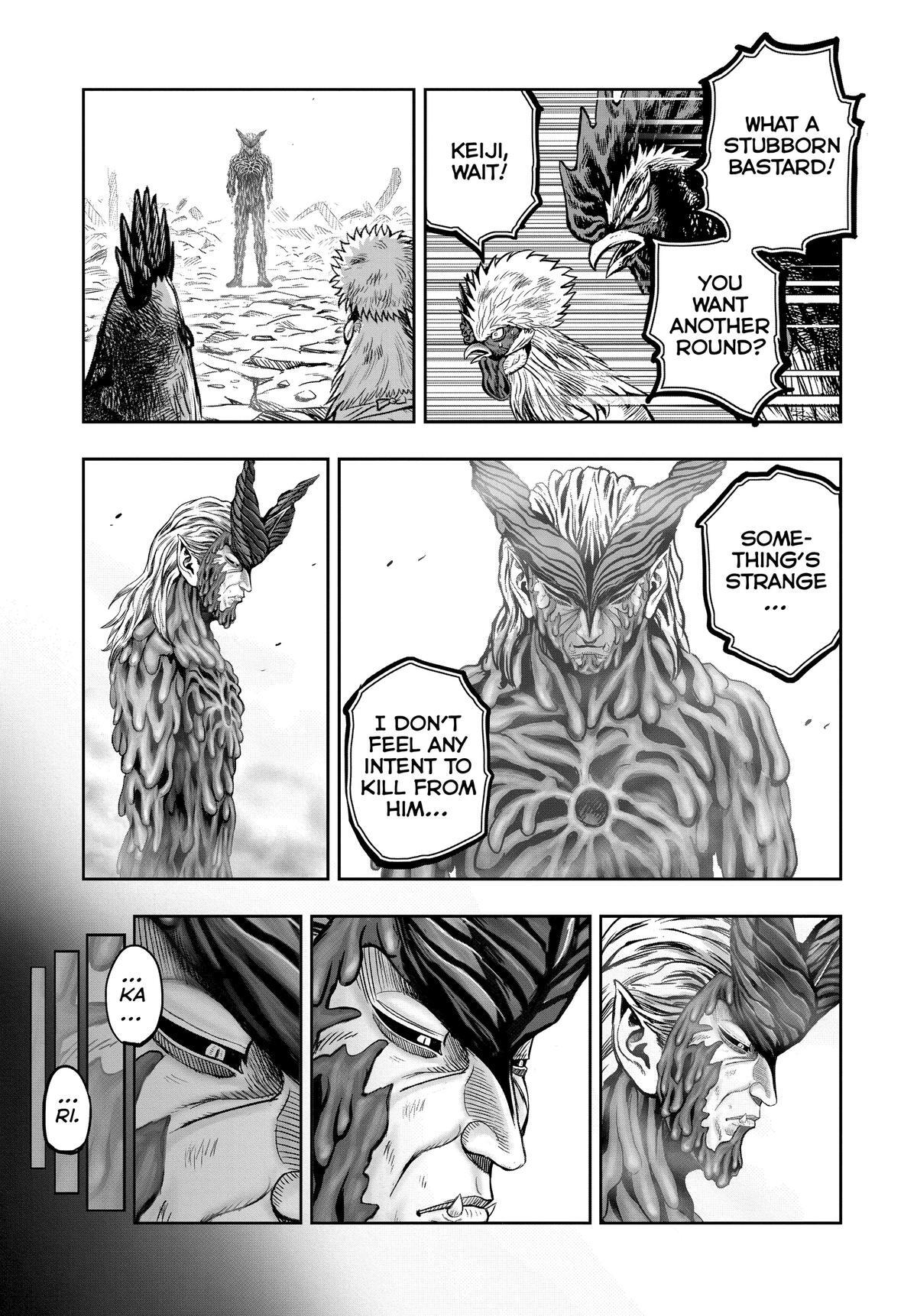 Read Rooster Fighter Manga Online