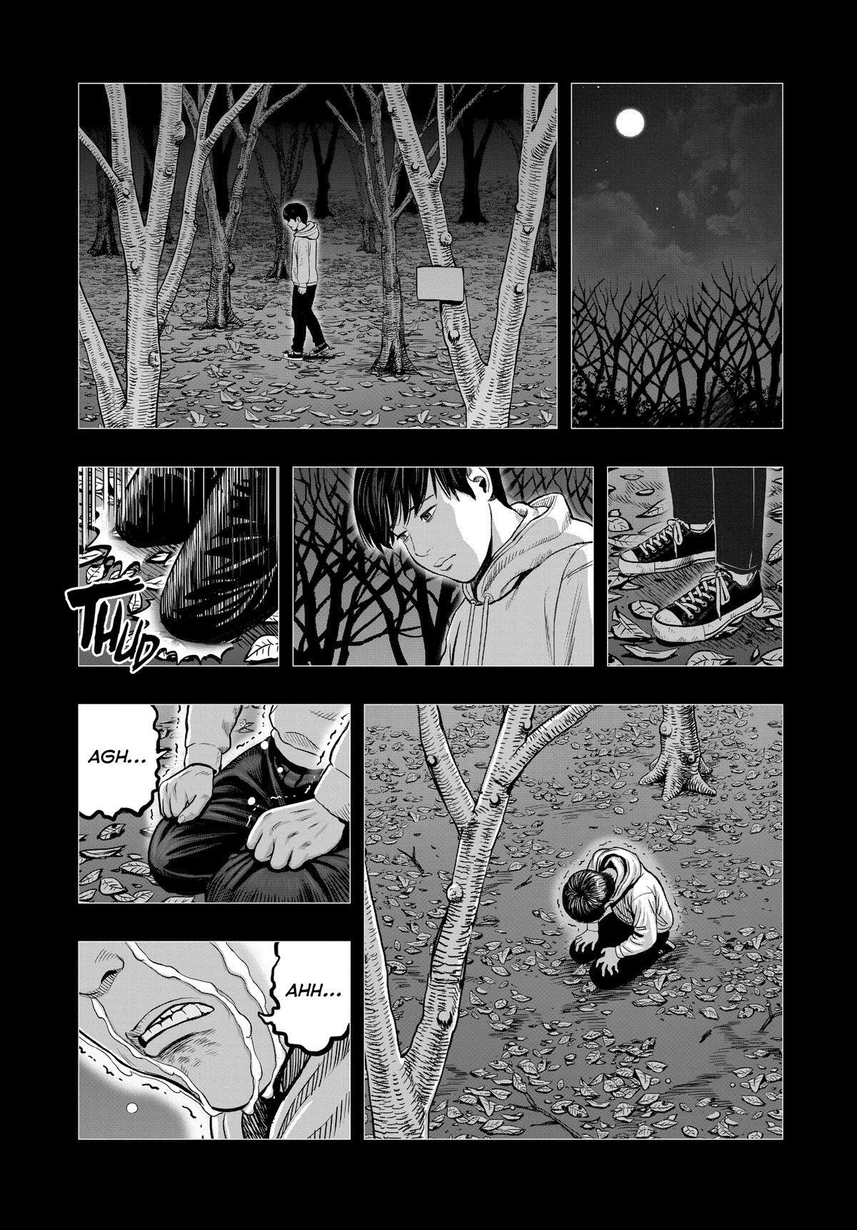 Read Rooster Fighter Manga Online