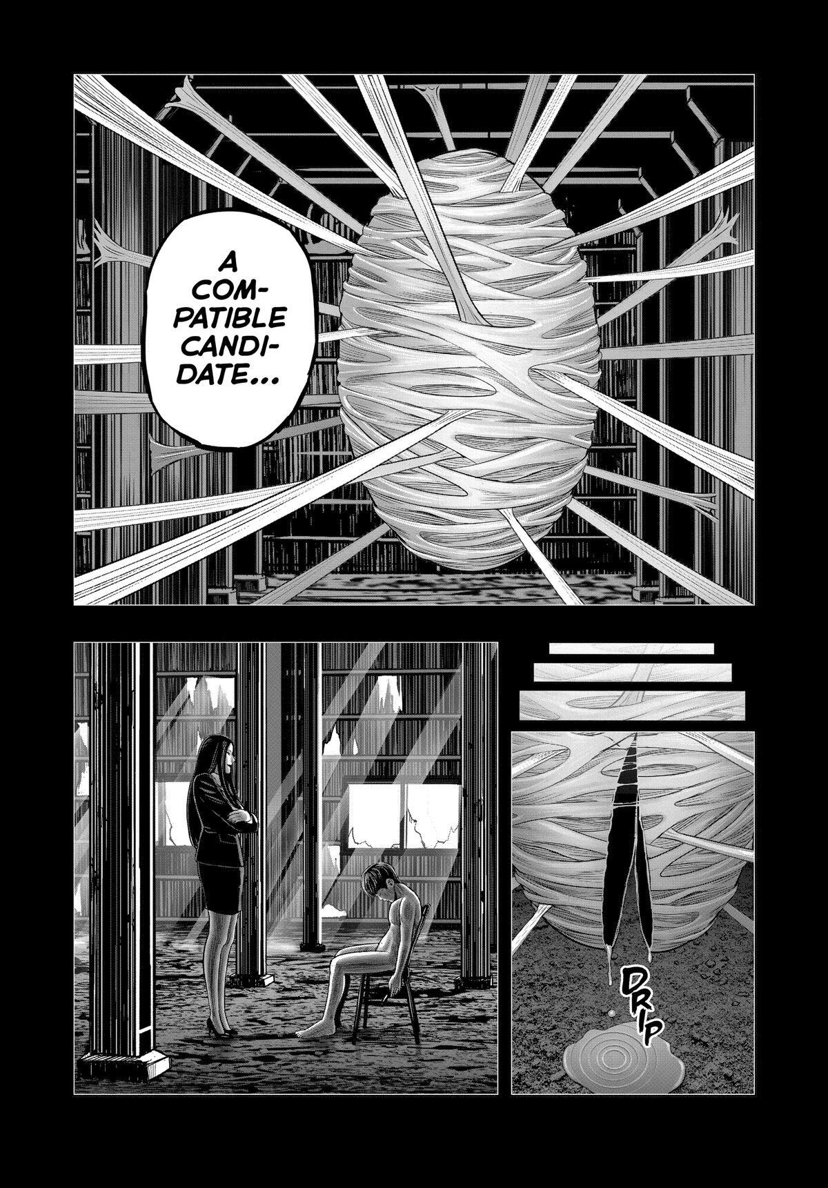 Read Rooster Fighter Manga Online