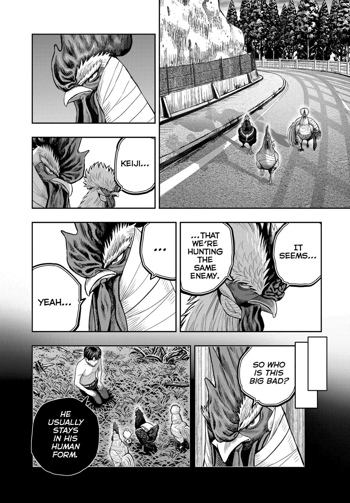 Read Rooster Fighter Manga Online