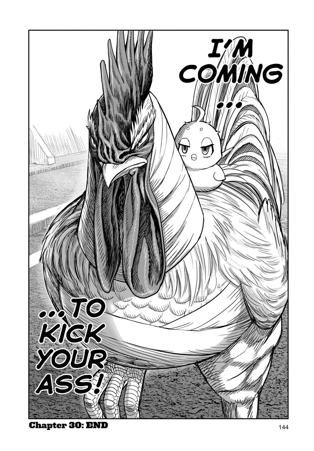 Read Rooster Fighter Manga Online