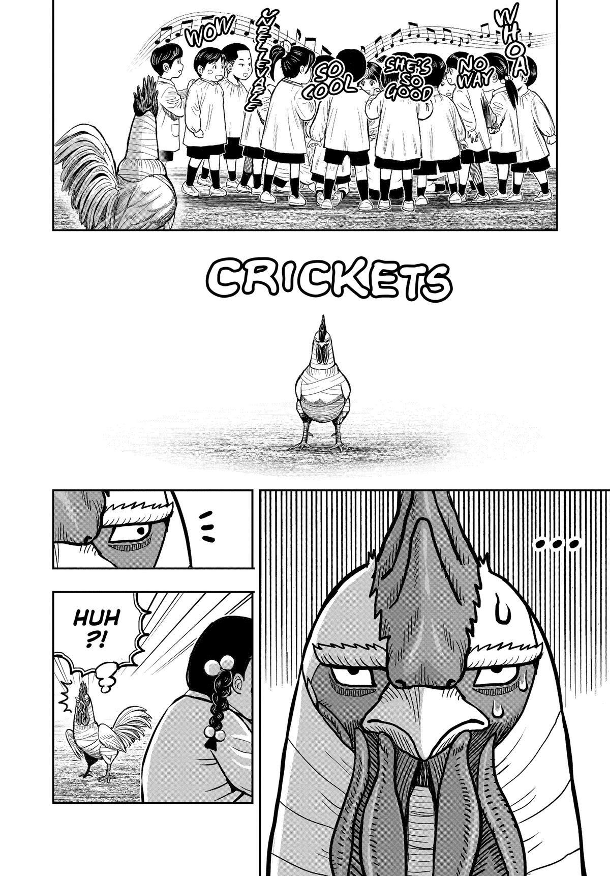Read Rooster Fighter Manga Online