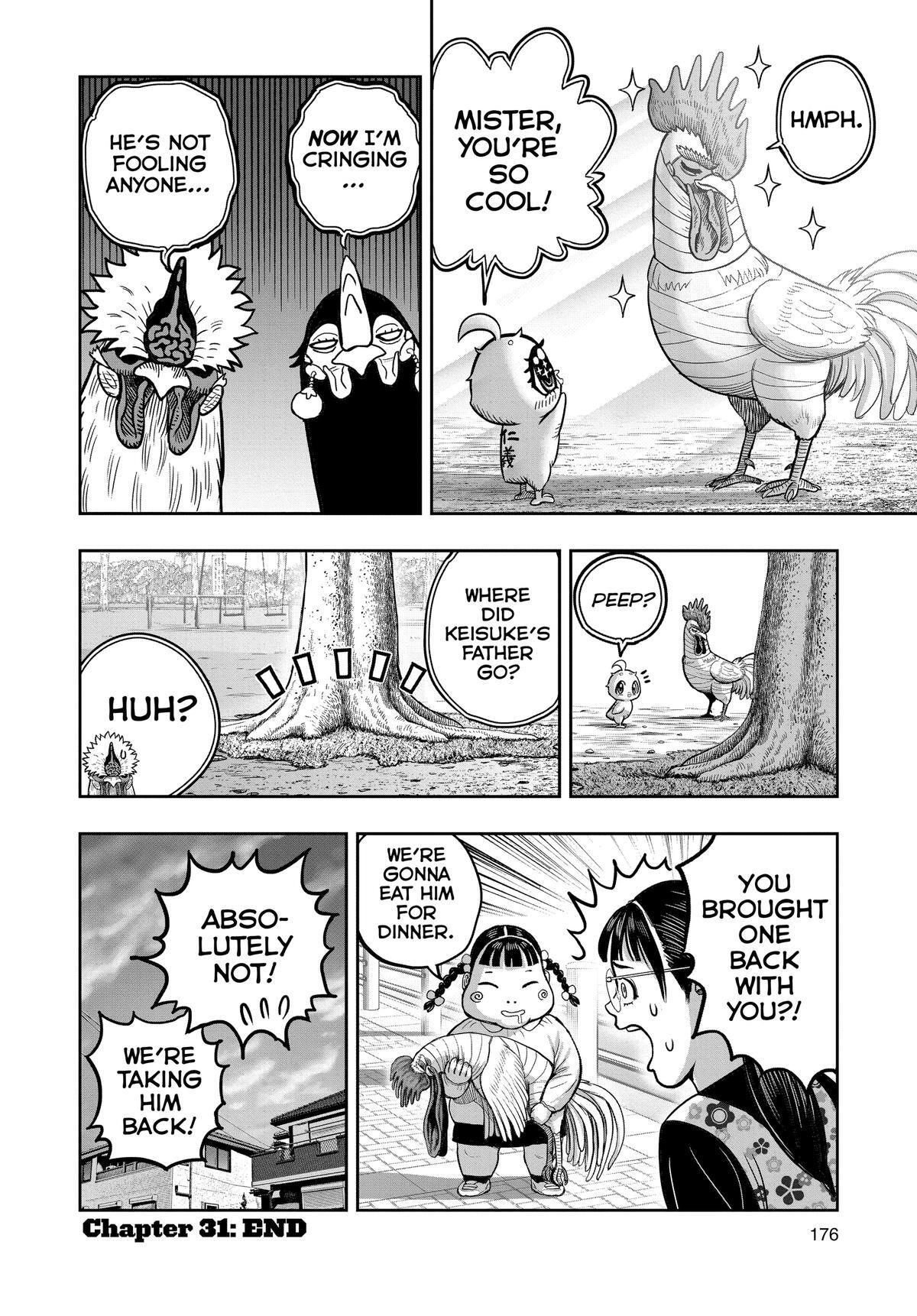 Read Rooster Fighter Manga Online