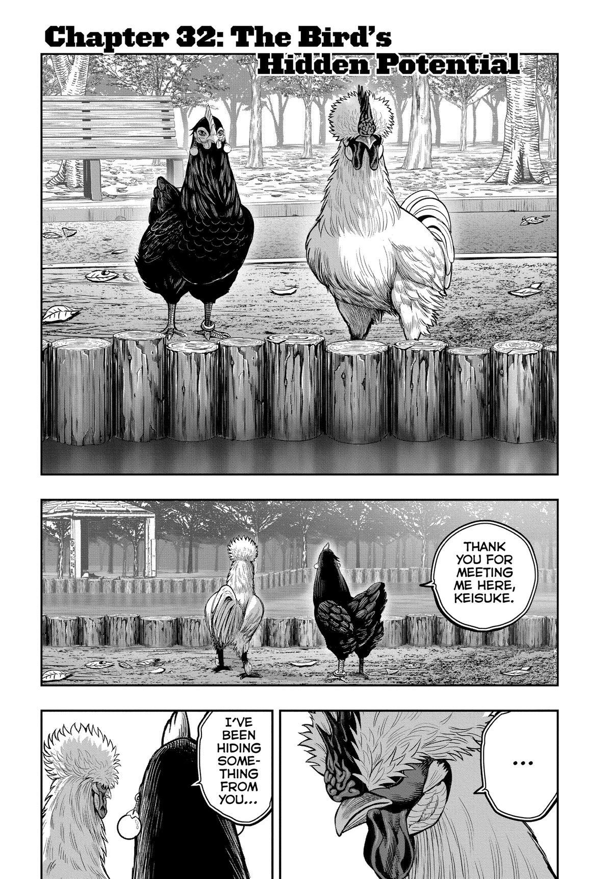 Read Rooster Fighter Manga Online