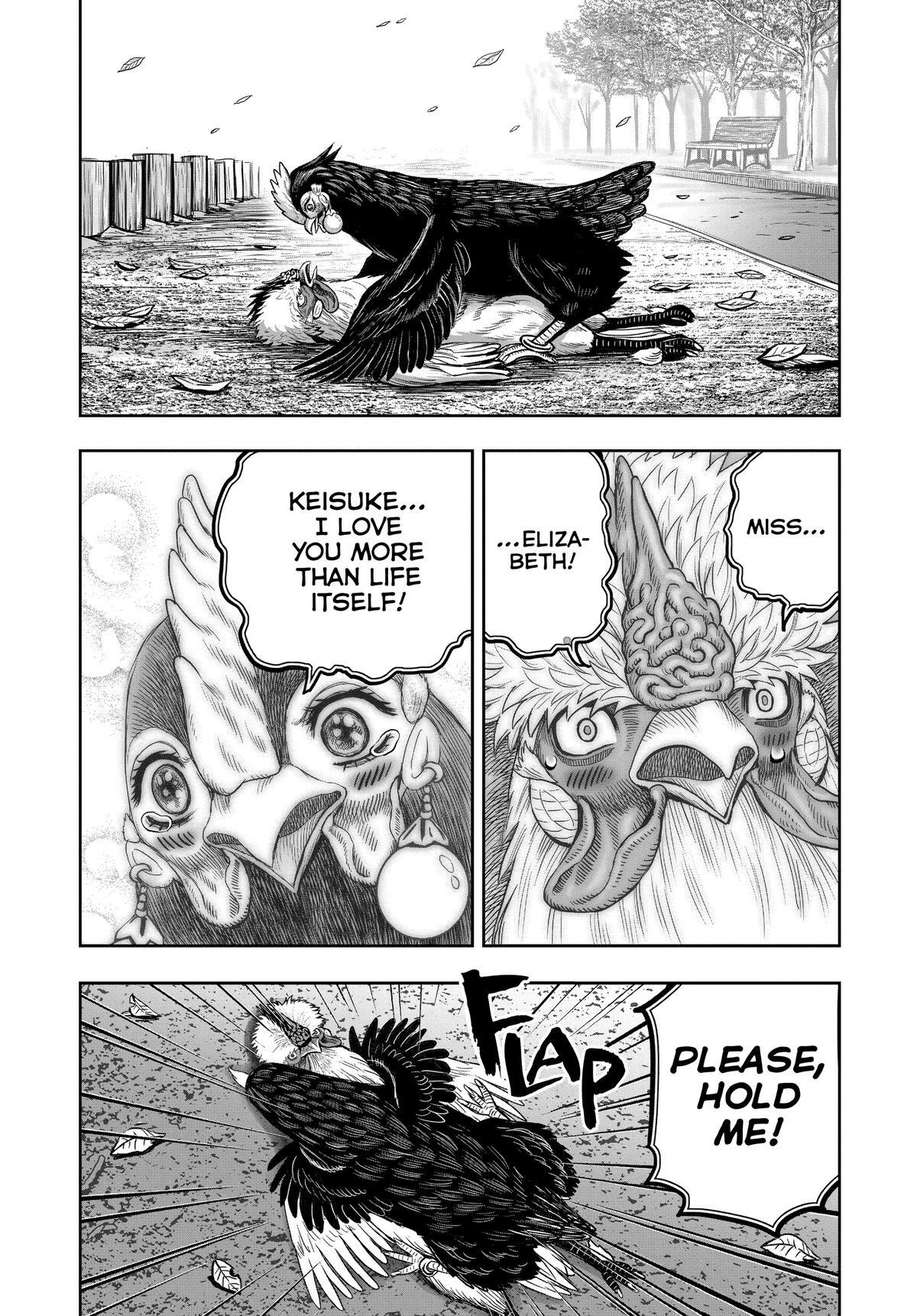 Read Rooster Fighter Manga Online