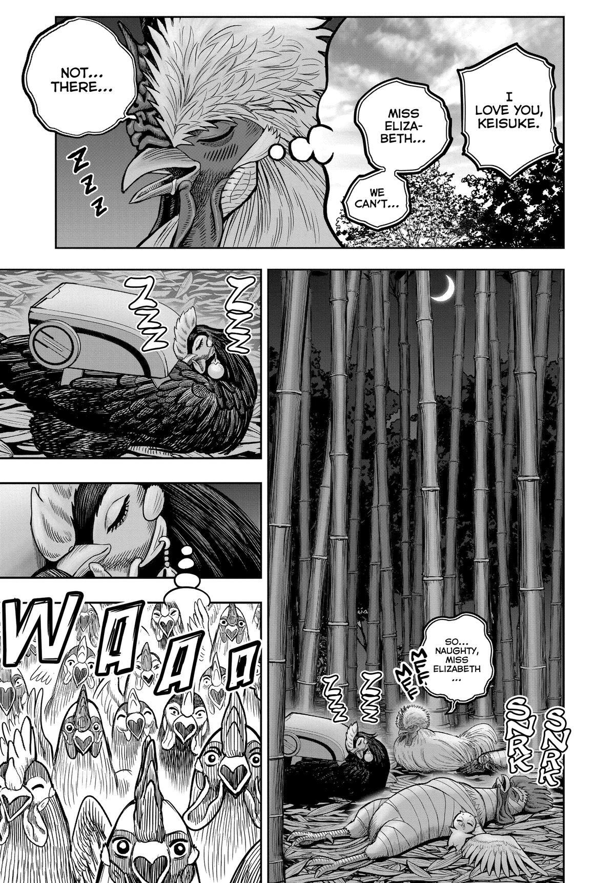 Read Rooster Fighter Manga Online