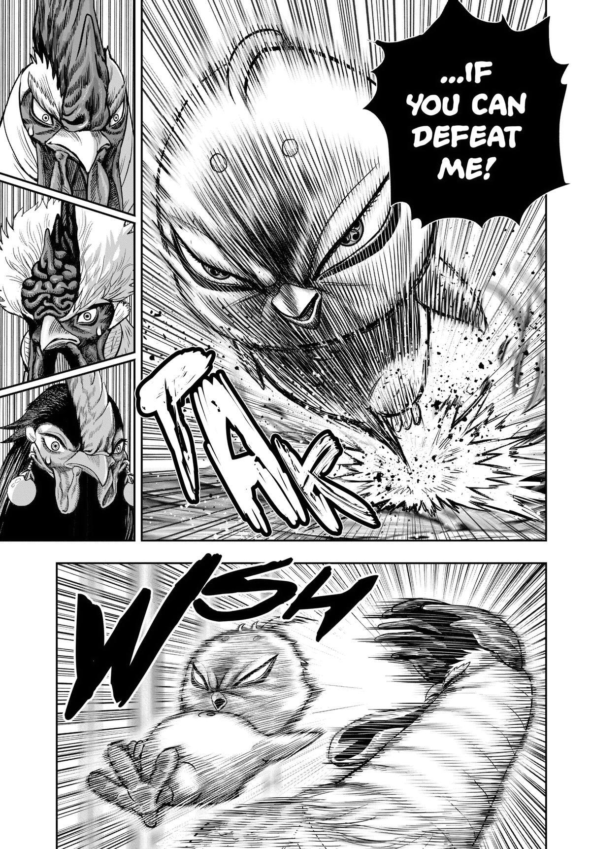 Read Rooster Fighter Manga Online