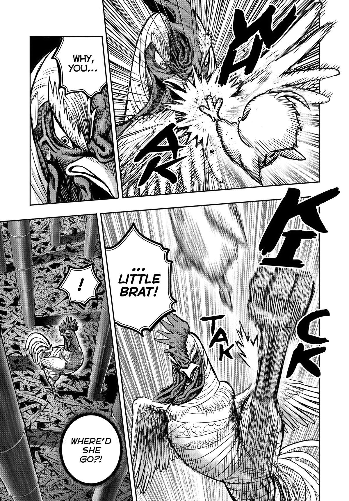 Read Rooster Fighter Manga Online