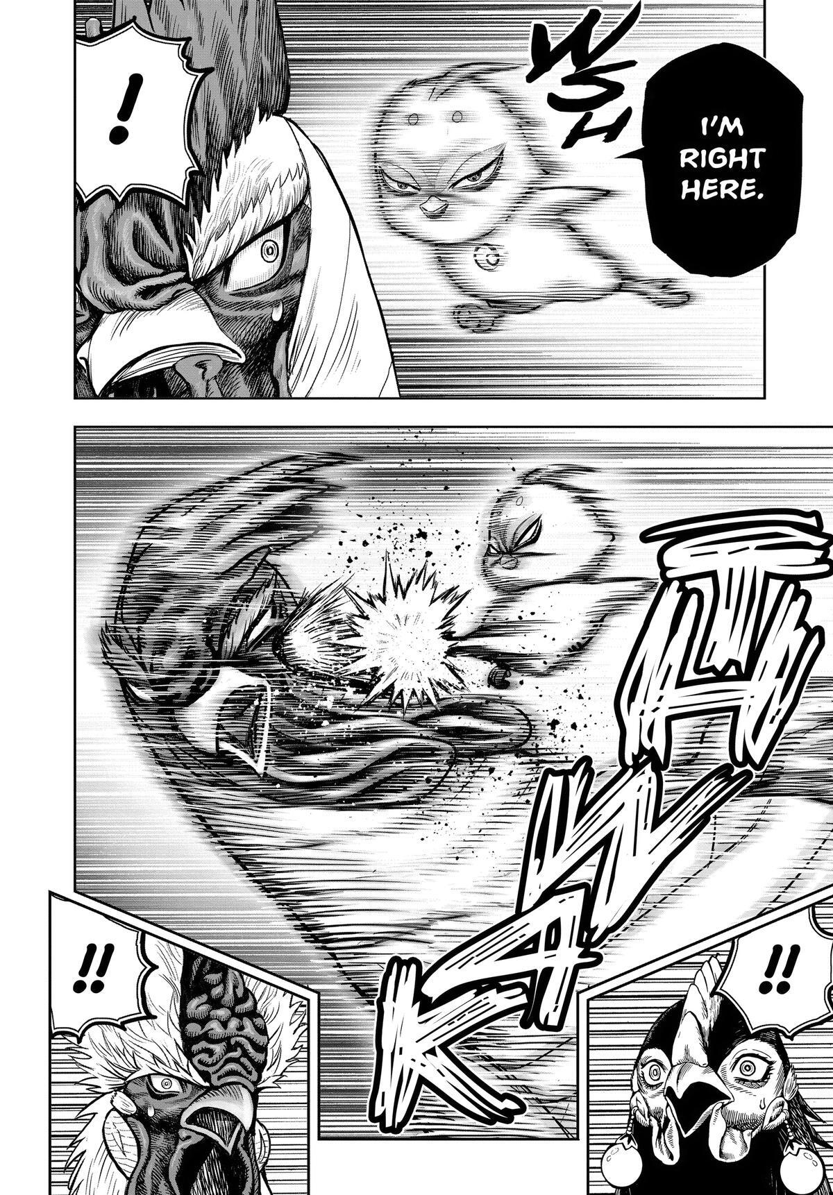 Read Rooster Fighter Manga Online