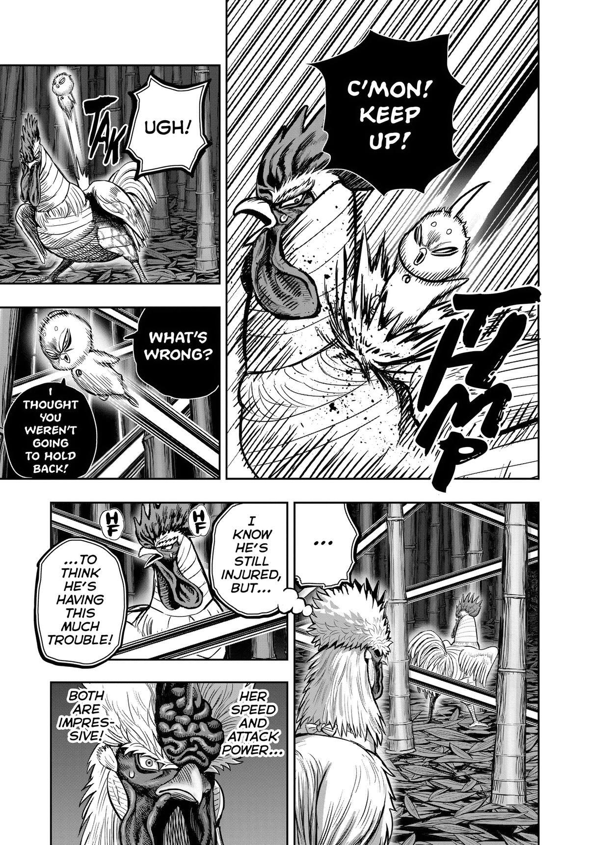 Read Rooster Fighter Manga Online