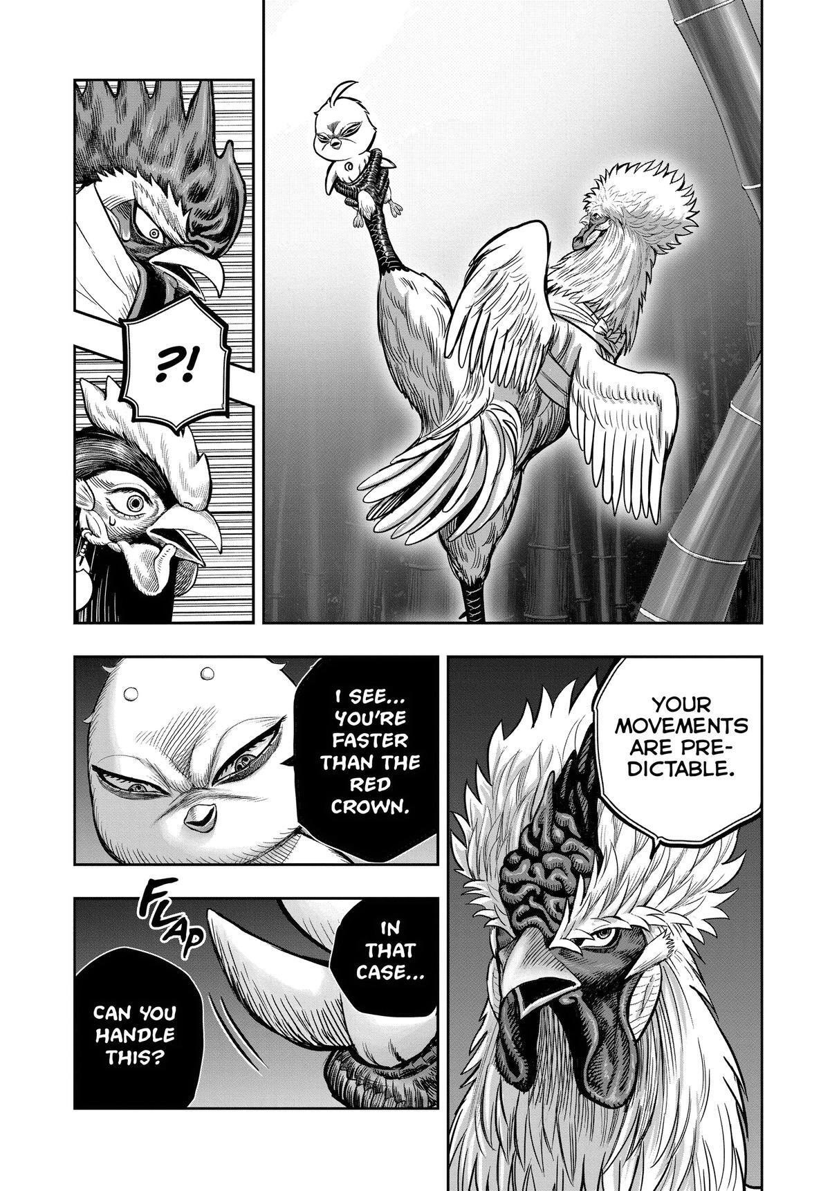 Read Rooster Fighter Manga Online