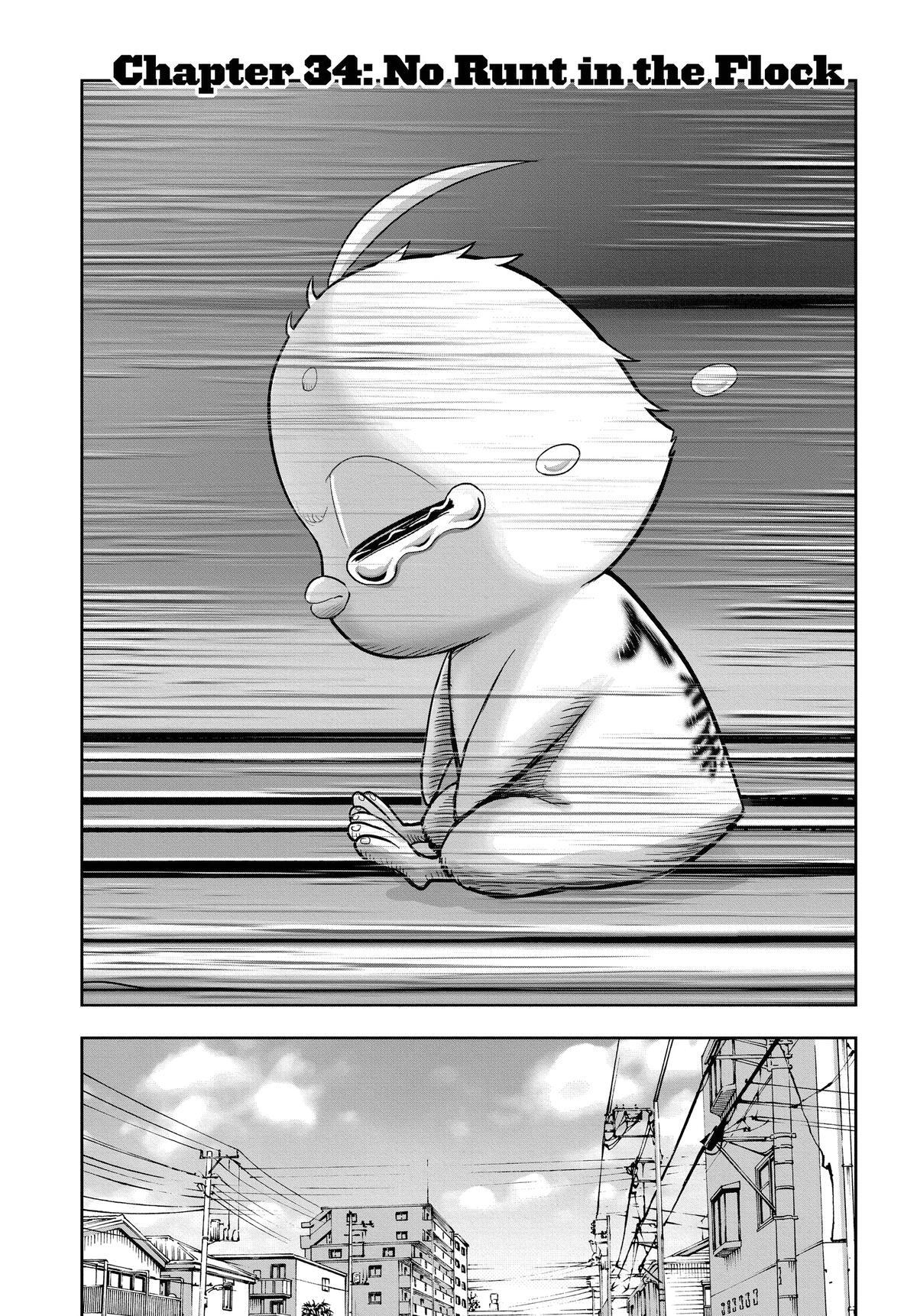 Read Rooster Fighter Manga Online