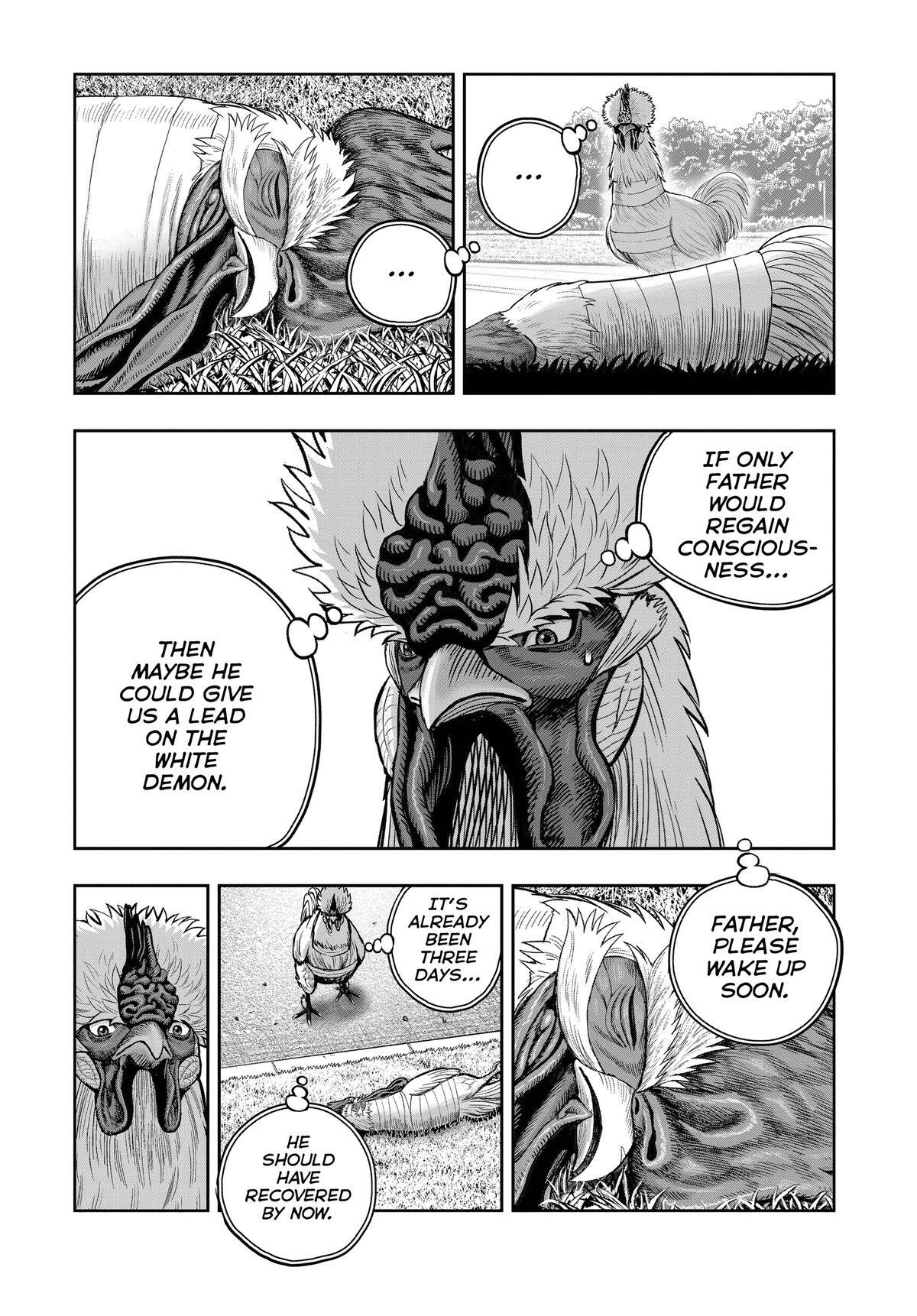 Read Rooster Fighter Manga Online