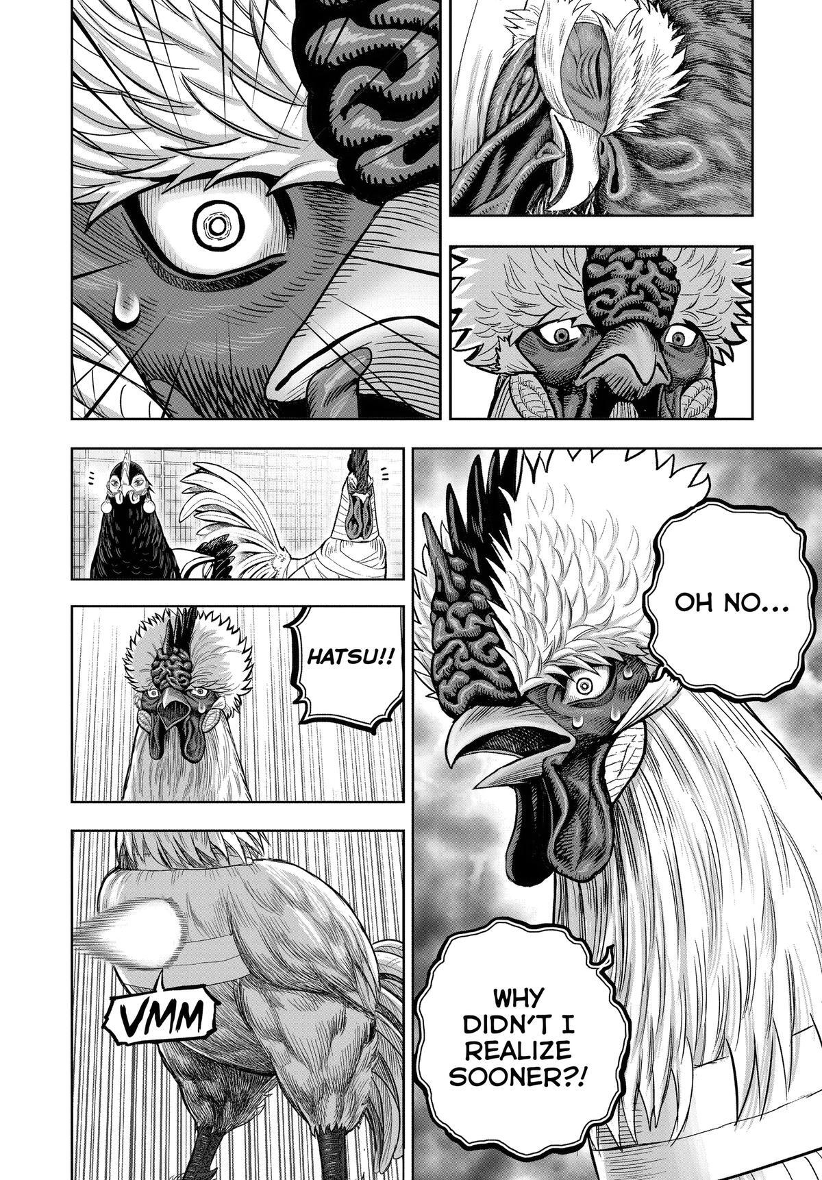 Read Rooster Fighter Manga Online