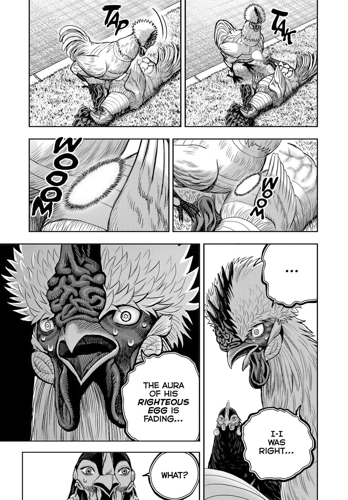 Read Rooster Fighter Manga Online