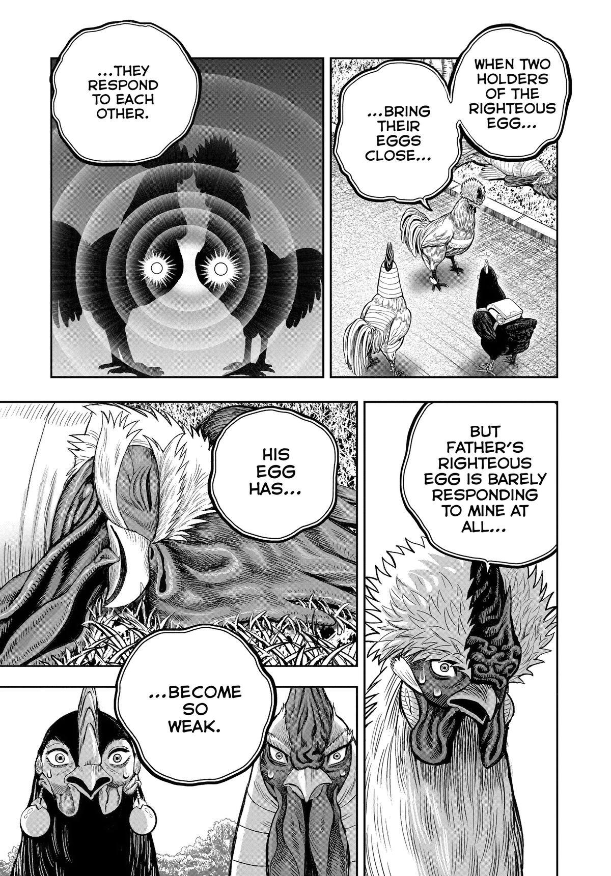 Read Rooster Fighter Manga Online