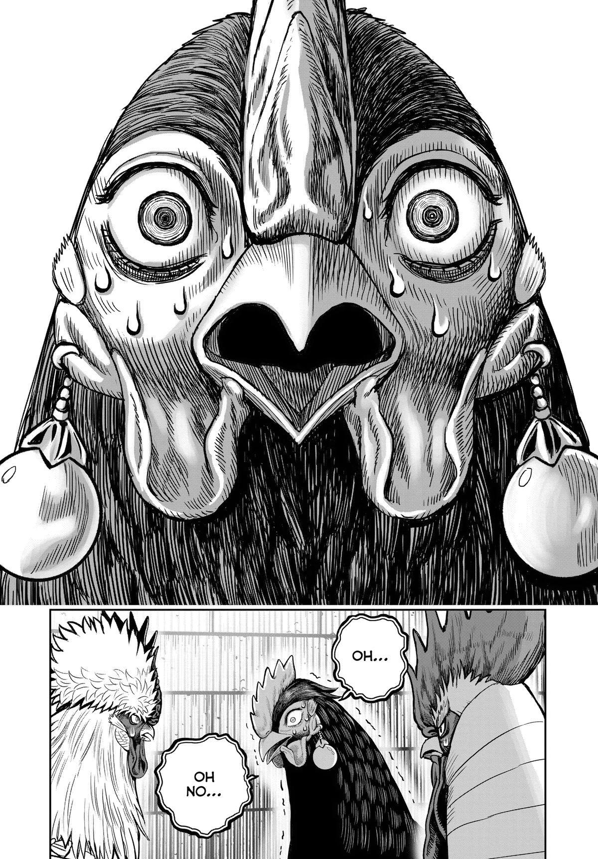 Read Rooster Fighter Manga Online
